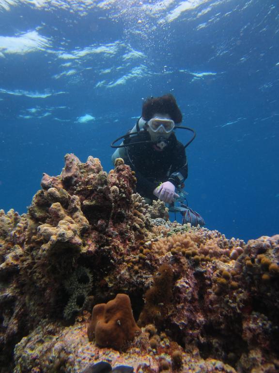 Nusantara Diving Centre Resort & Spa Manado Exterior photo